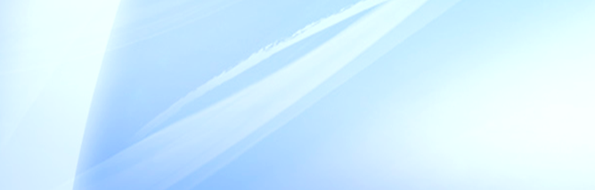 THE 6TH EURASIAN INTERNATIONAL FORUM «WAREHOUSES & CARGO TERMINALS - 20